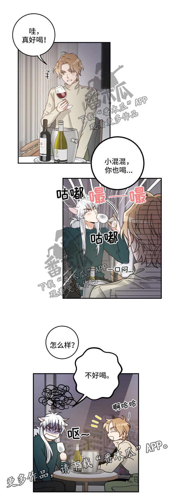 亲爱的喵君漫画,第49章：酒店2图