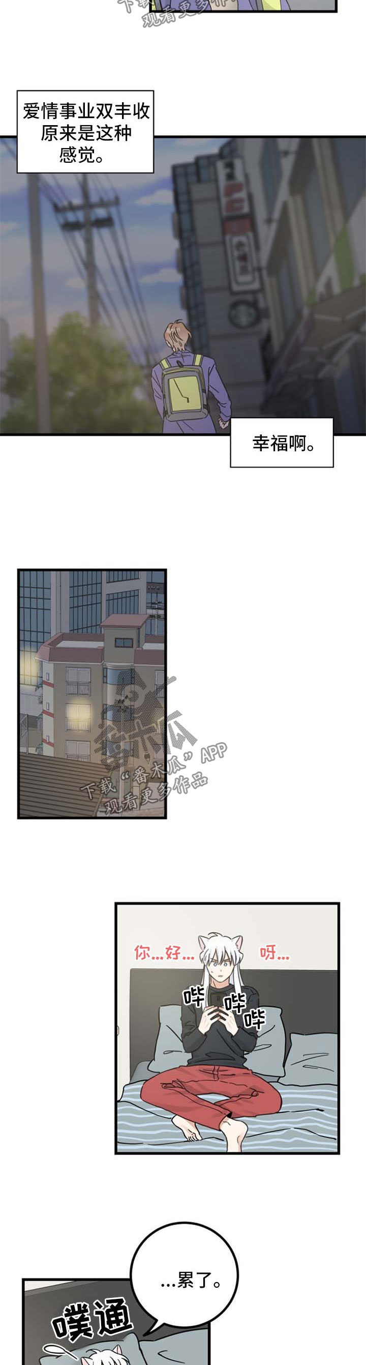 亲爱的喵君漫画,第93章：爱情事业双丰收2图