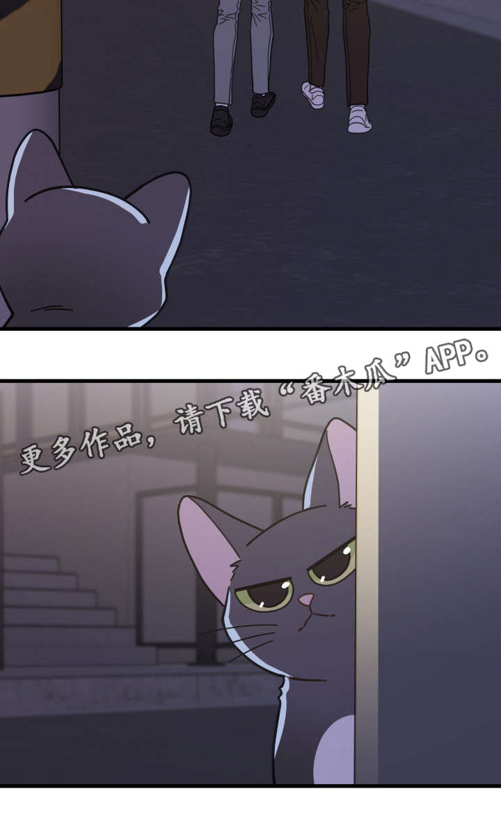亲爱的喵君漫画,第33章：好想你2图