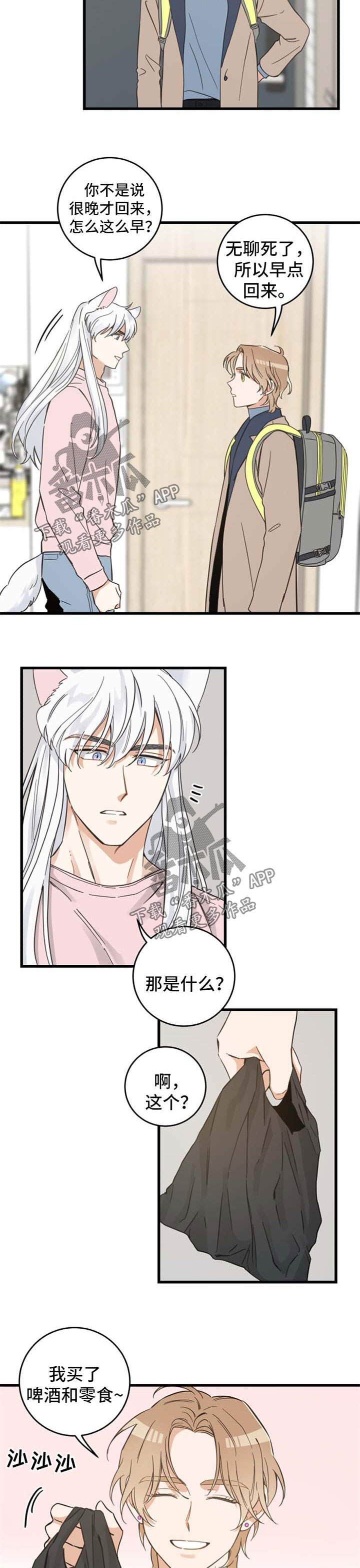 亲爱的喵君漫画,第74章：安心4图