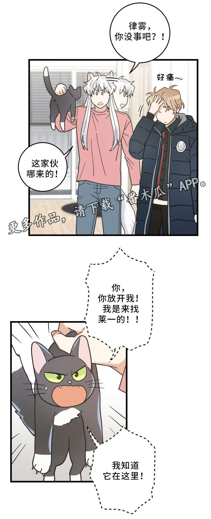 亲爱的喵君漫画,第36章：跟踪2图