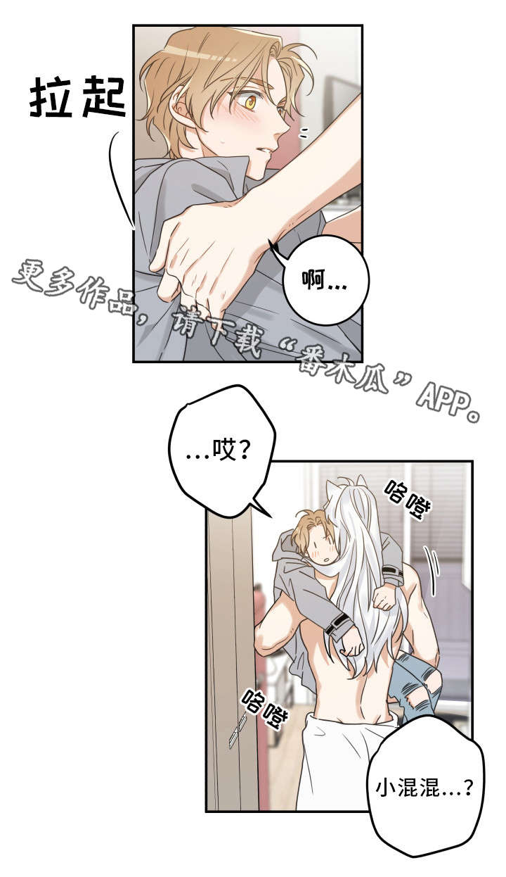 亲爱的喵君漫画,第20章：感觉好吗1图