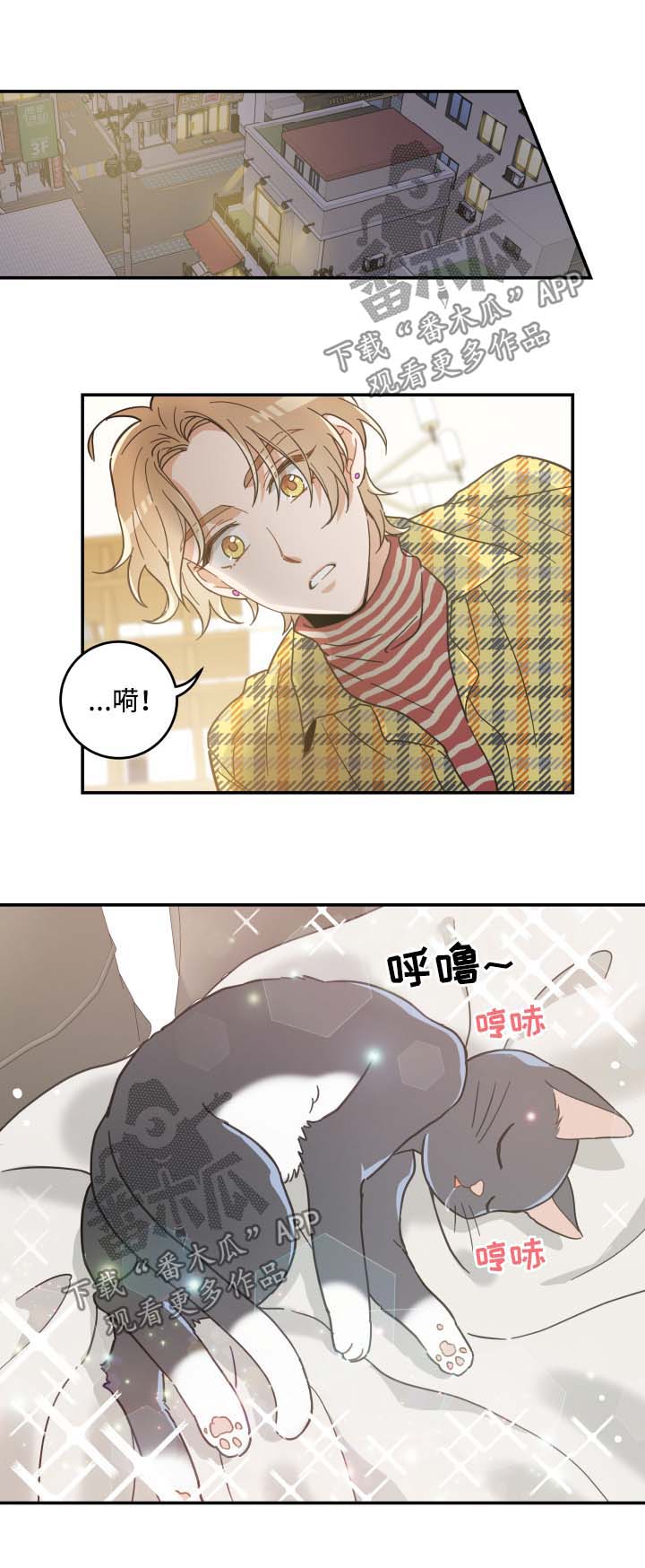 亲爱的喵君漫画,第47章：发工资4图
