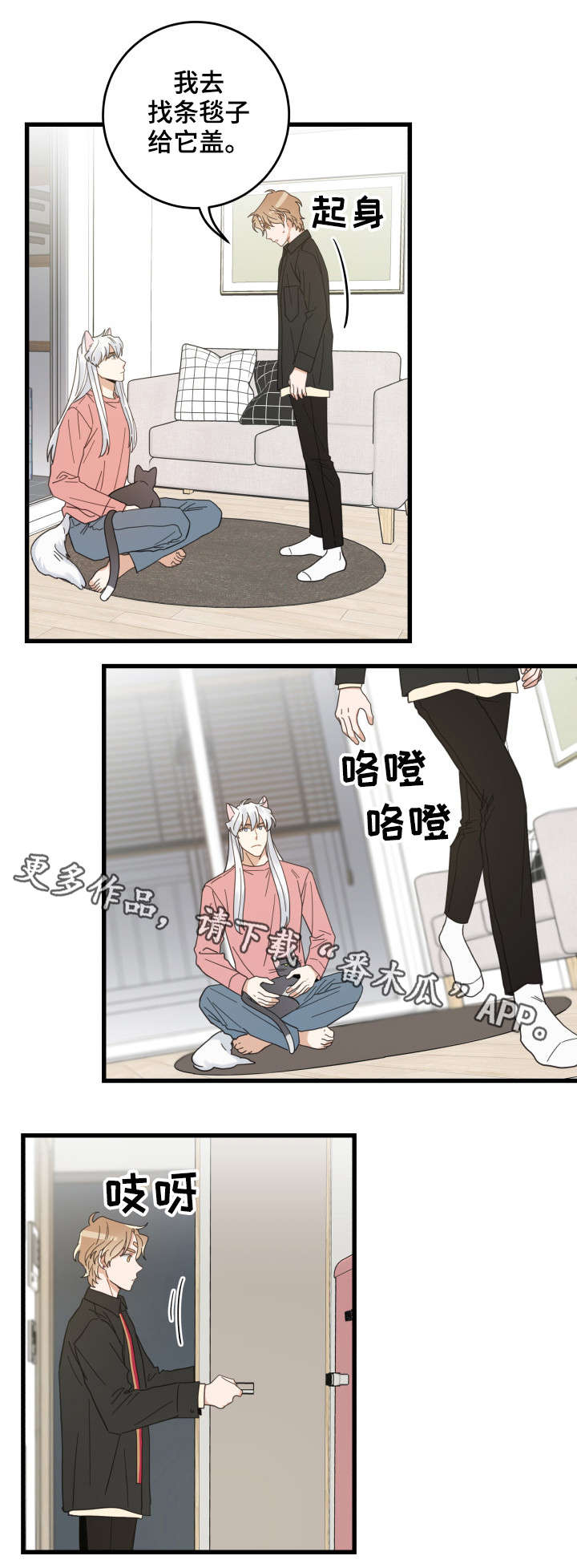 亲爱的喵君漫画,第37章：试探3图