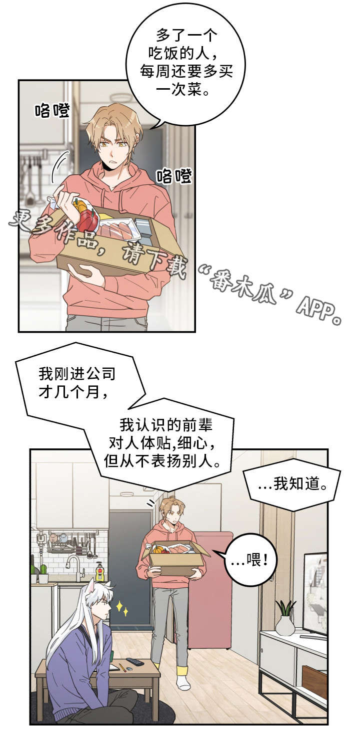亲爱的喵君漫画,第11章：钻箱子4图