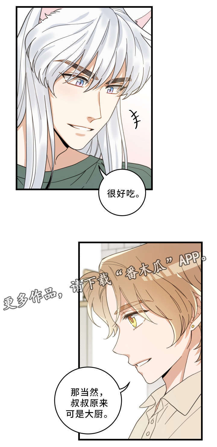 亲爱的喵君漫画,第28章：蛋糕2图