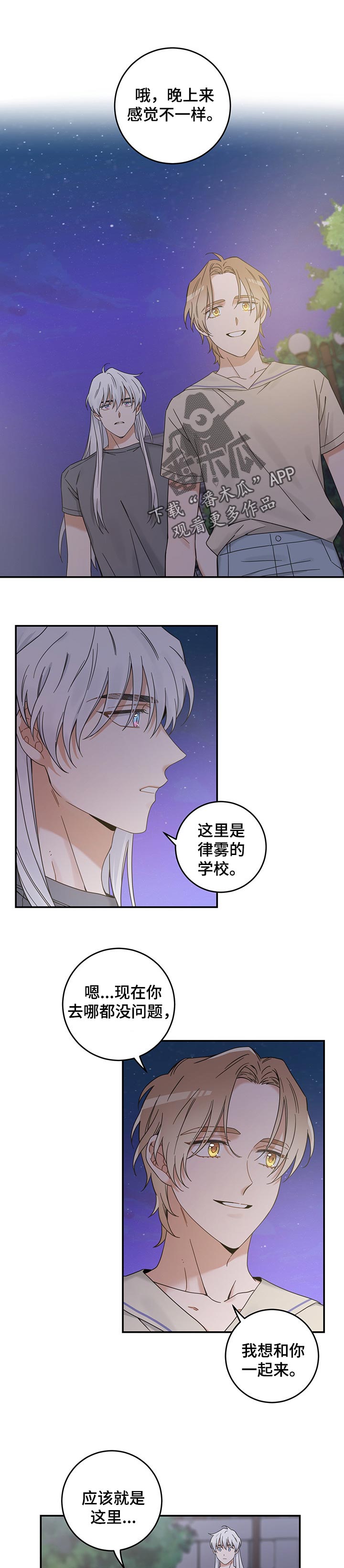 亲爱的喵君漫画,第117章：我唯一的猫【完结】4图
