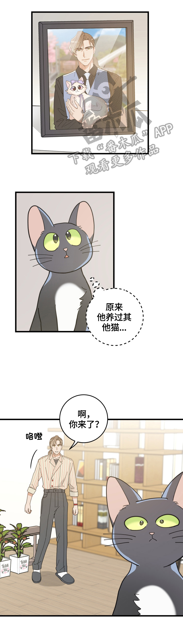 亲爱的喵君漫画,第56章：不能碰的东西1图