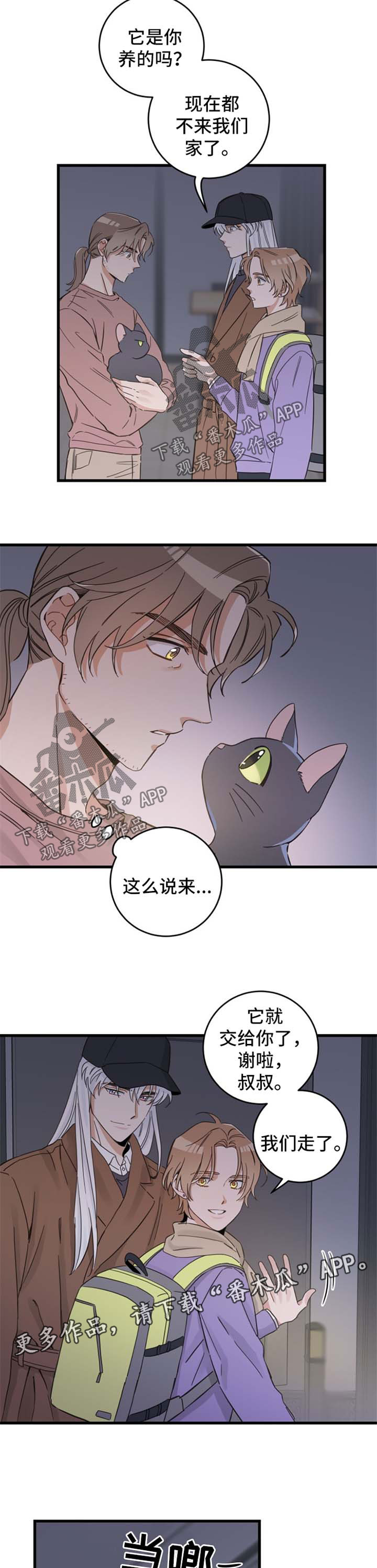 亲爱的喵君漫画,第80章：宠物心得1图