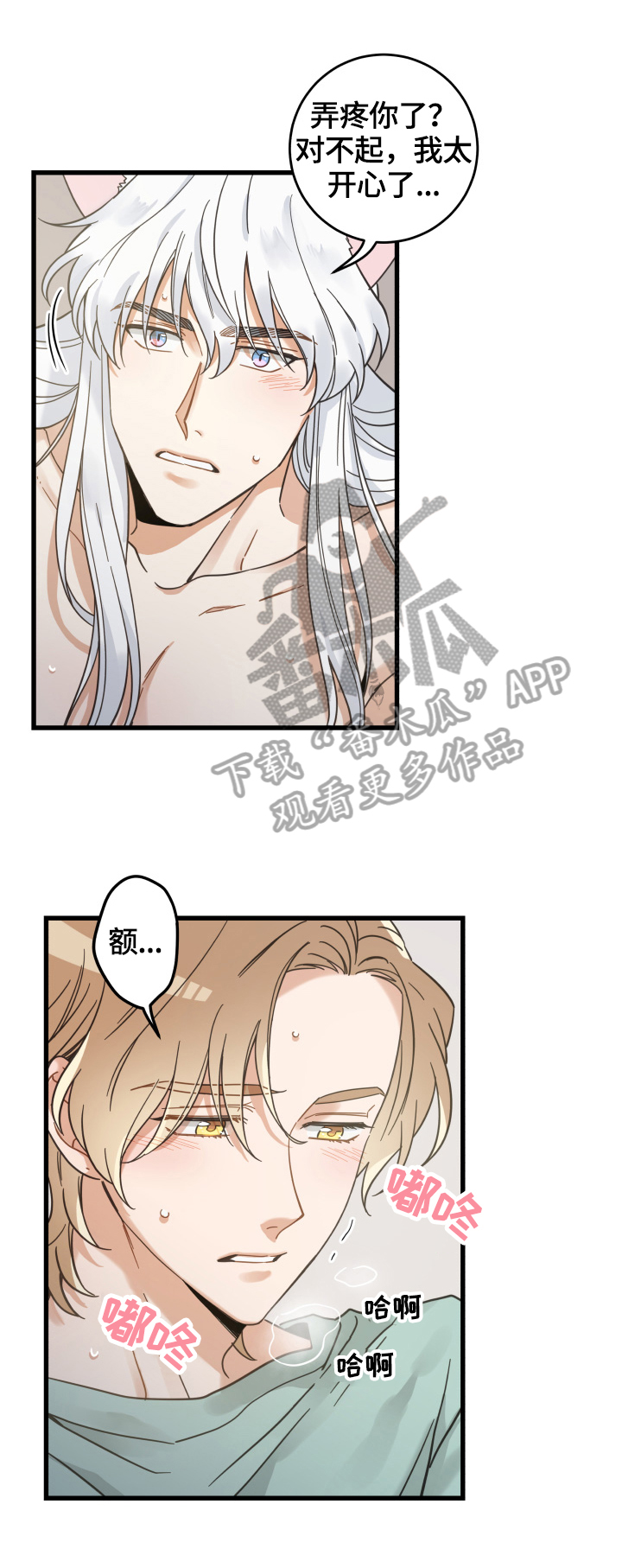 亲爱的喵君漫画,第65章：忍不了3图