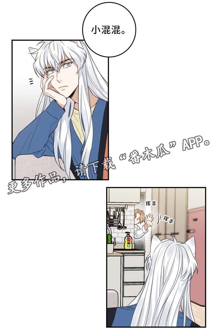 亲爱的喵君漫画,第18章：无动于衷2图