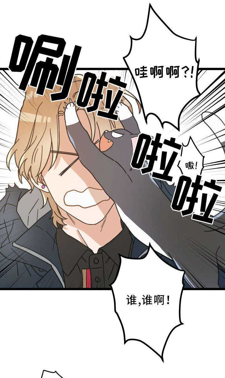 亲爱的喵君漫画,第36章：跟踪5图