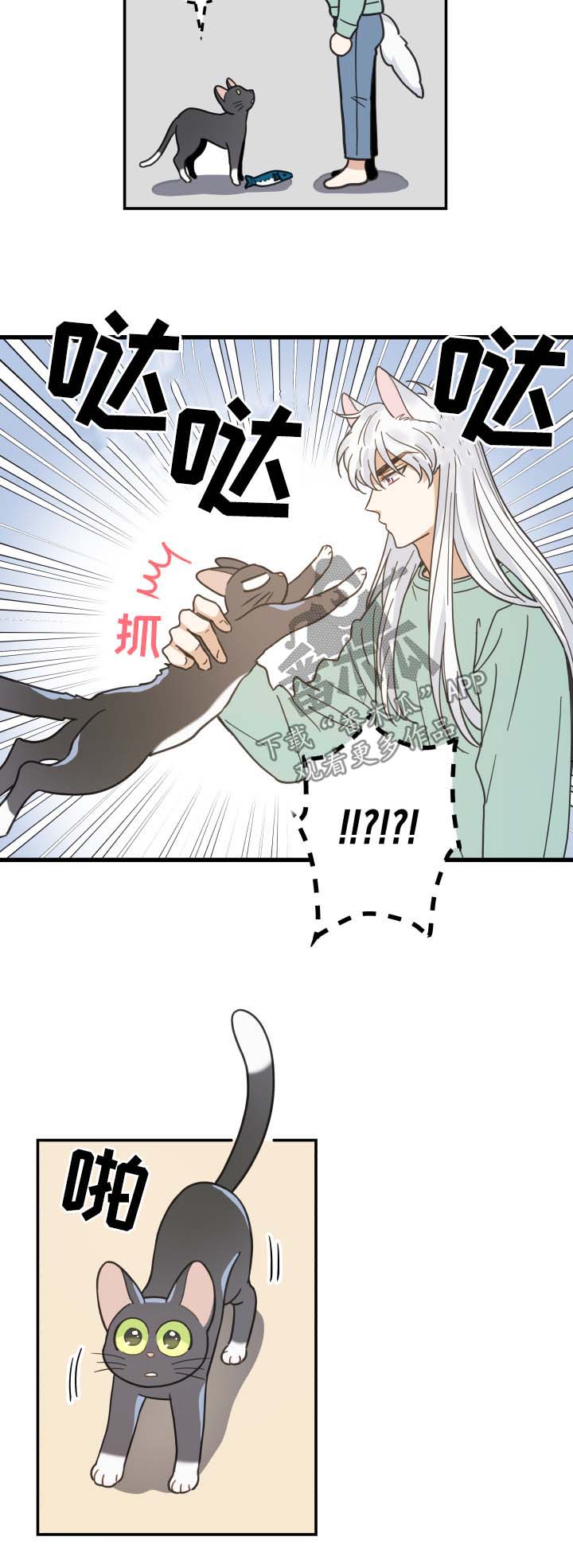 亲爱的喵君漫画,第45章：生气3图