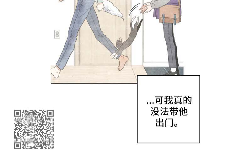 亲爱的喵君漫画,第46章：不能一起3图