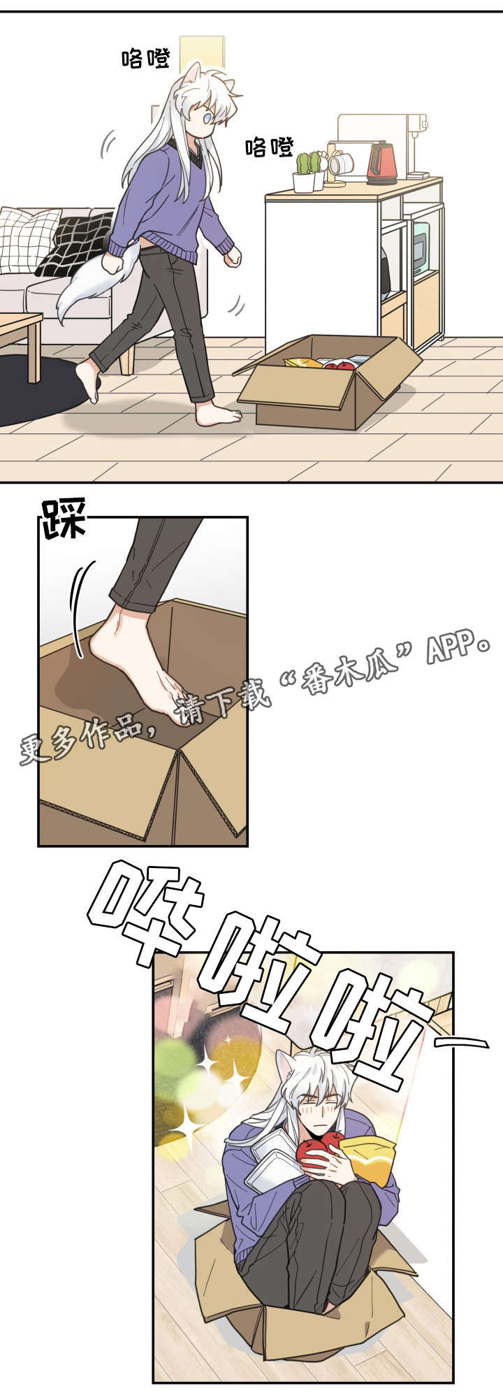 亲爱的喵君漫画,第11章：钻箱子2图