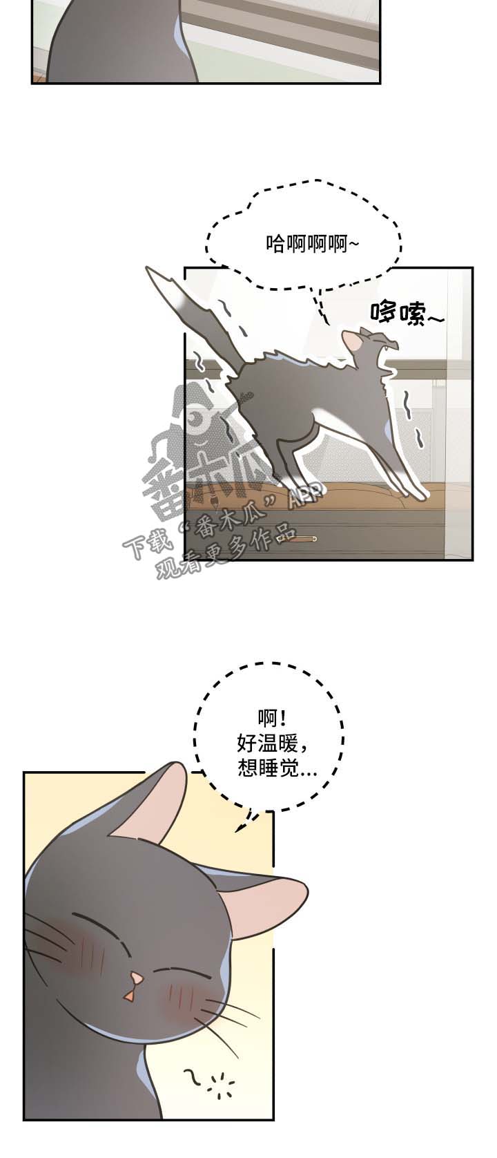 亲爱的喵君漫画,第44章：快乐生活1图