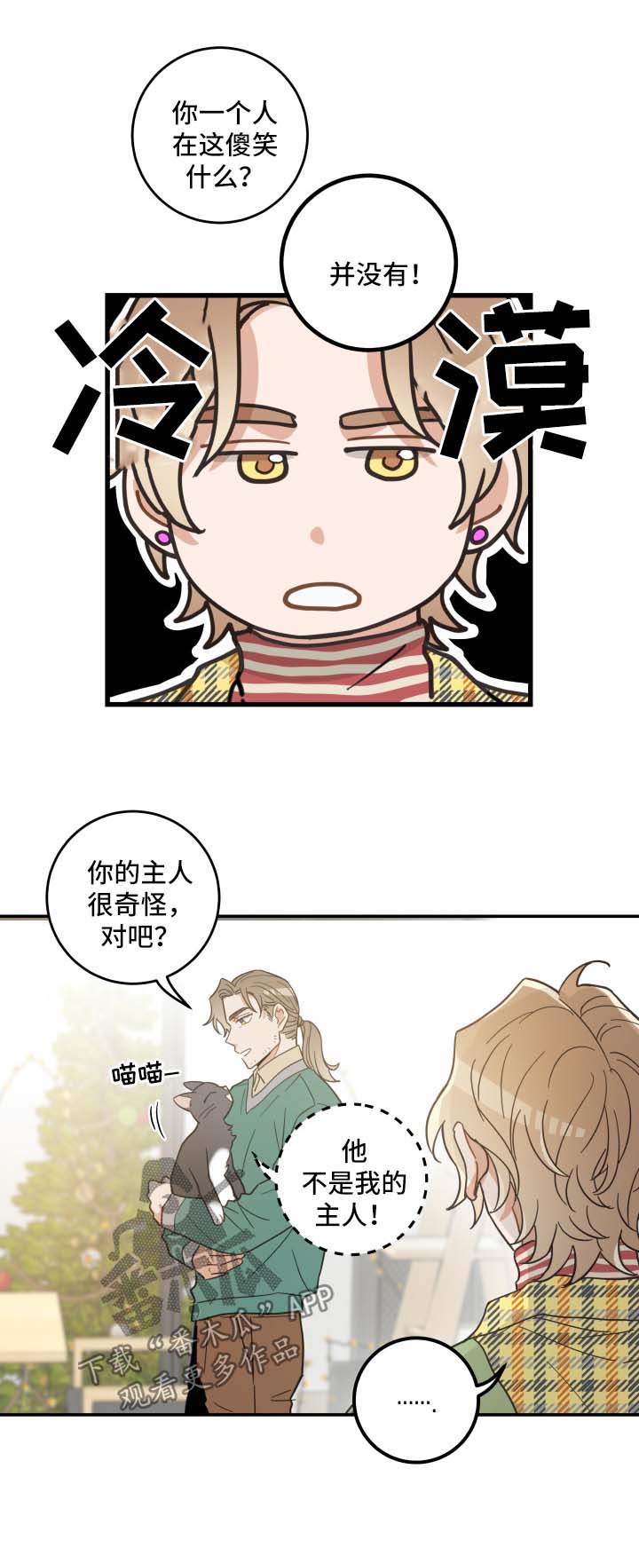 亲爱的喵君漫画,第47章：发工资1图