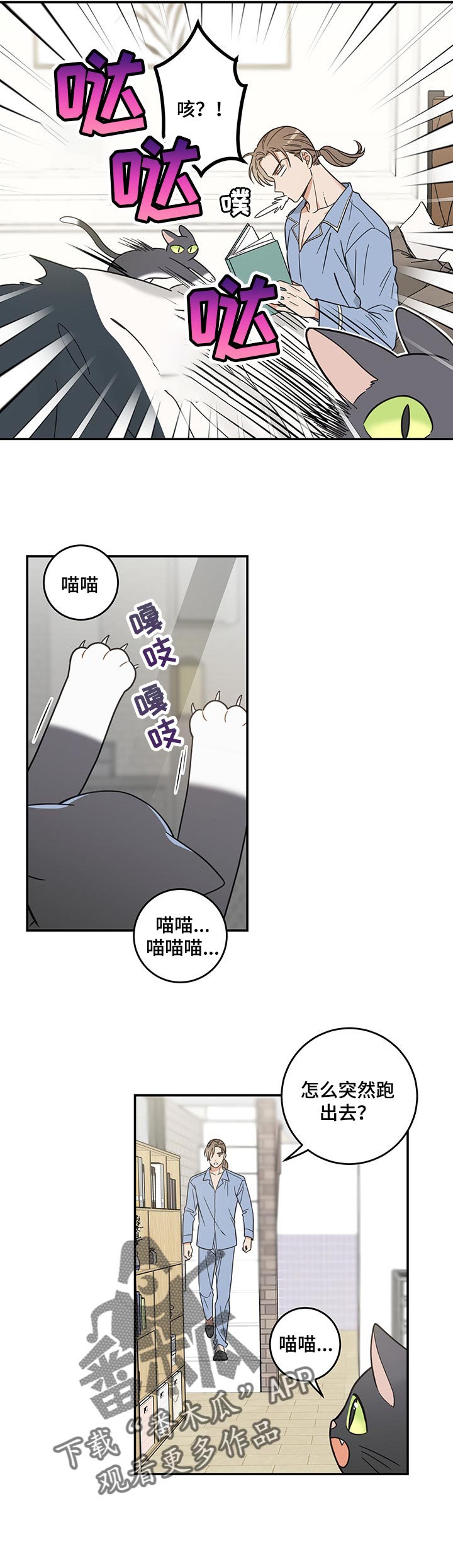 亲爱的喵君漫画,第101章：捣乱5图
