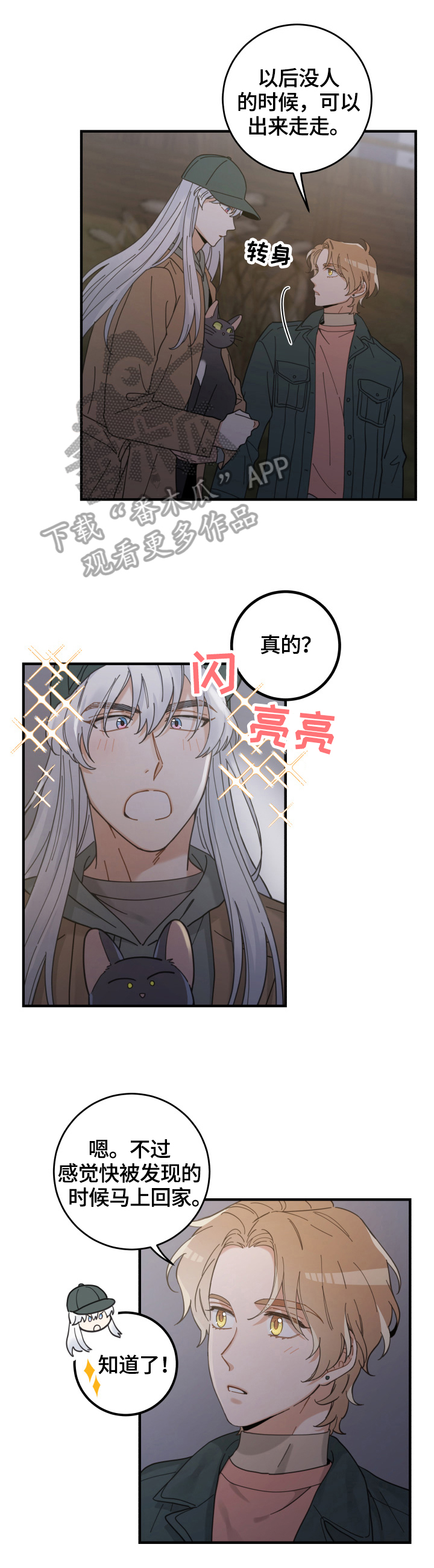 亲爱的喵君漫画,第54章：回家1图