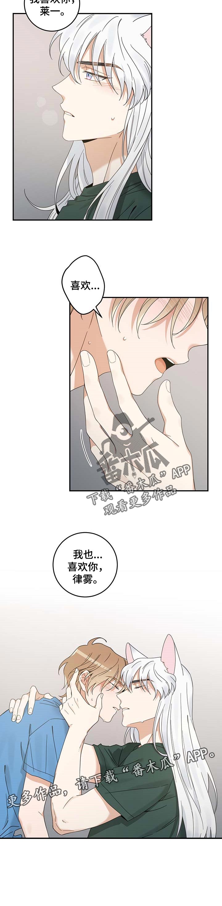 亲爱的喵君漫画,第113章：只为了你1图