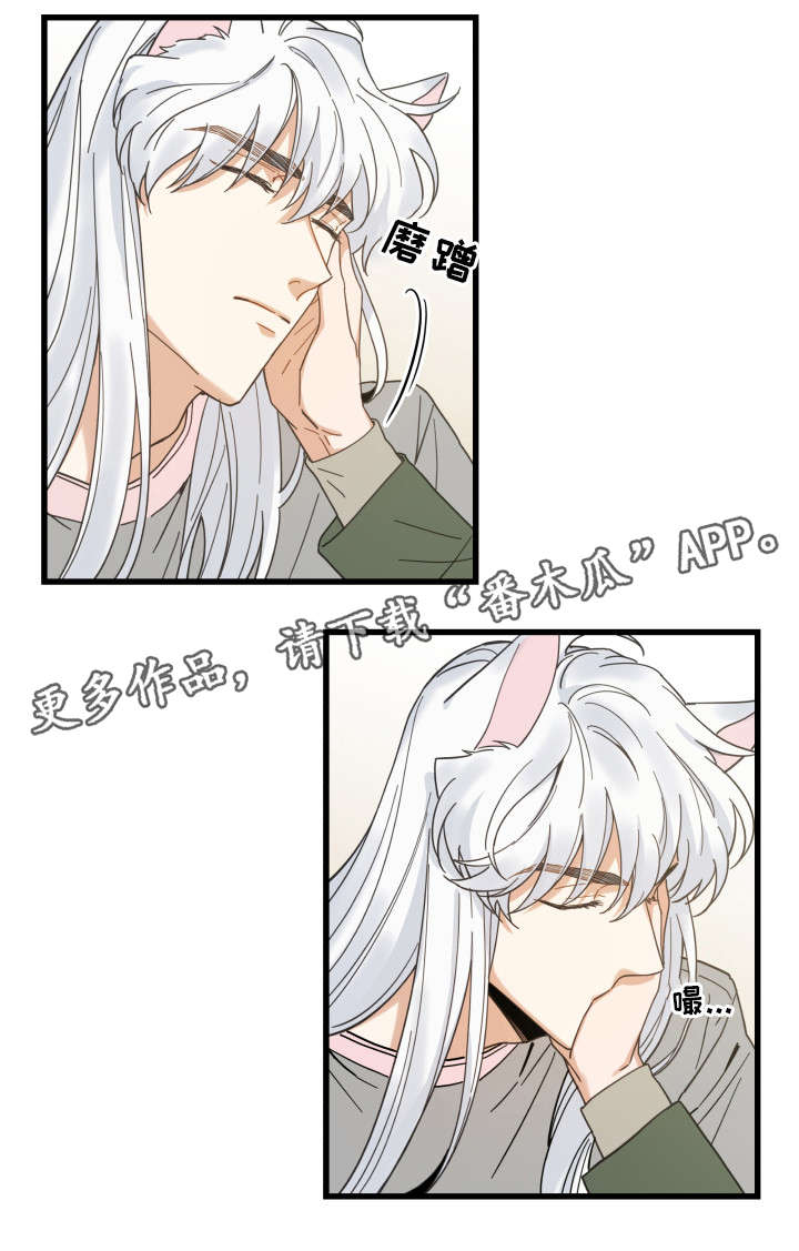 亲爱的喵君漫画,第31章：黑猫2图