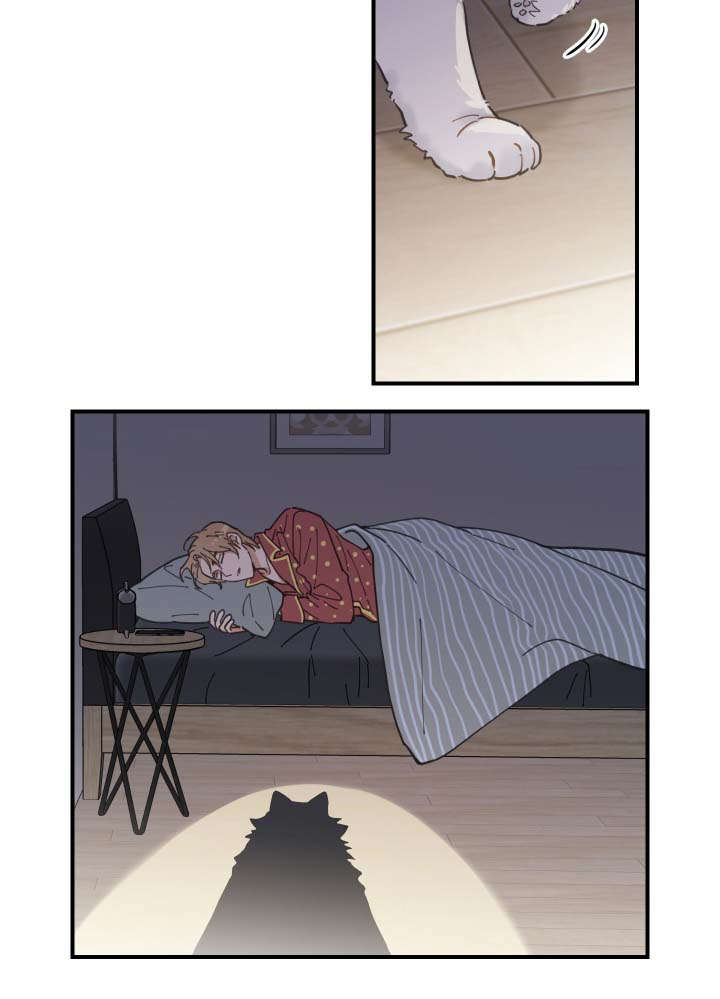 亲爱的喵君漫画,第2章：白猫1图