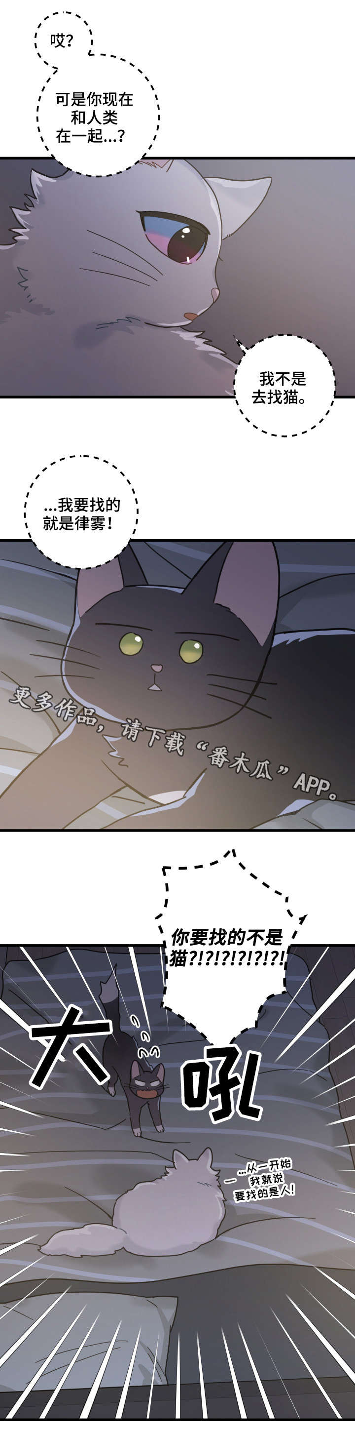 亲爱的喵君漫画,第39章：你别走4图