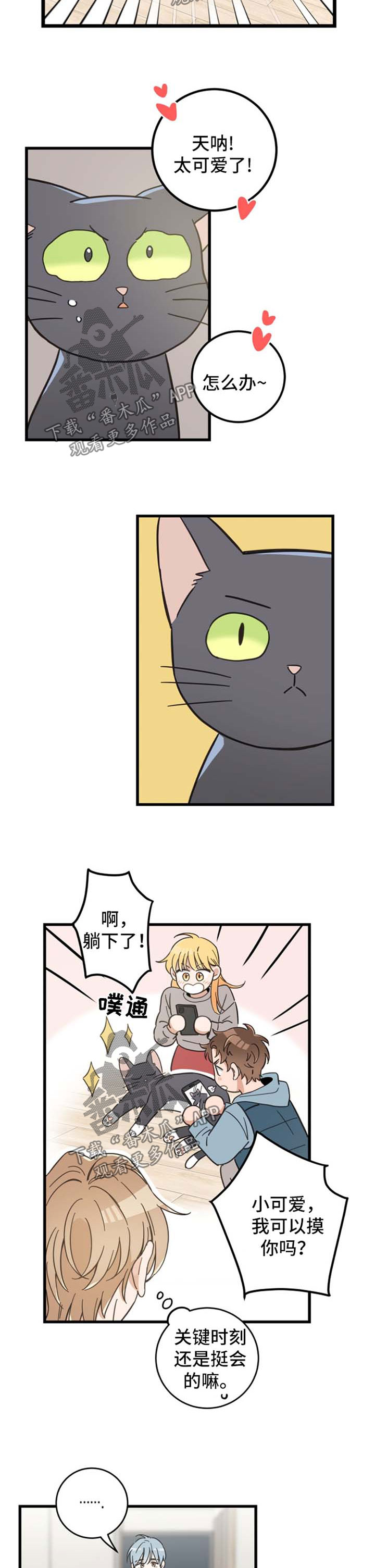 亲爱的喵君漫画,第81章：做客1图