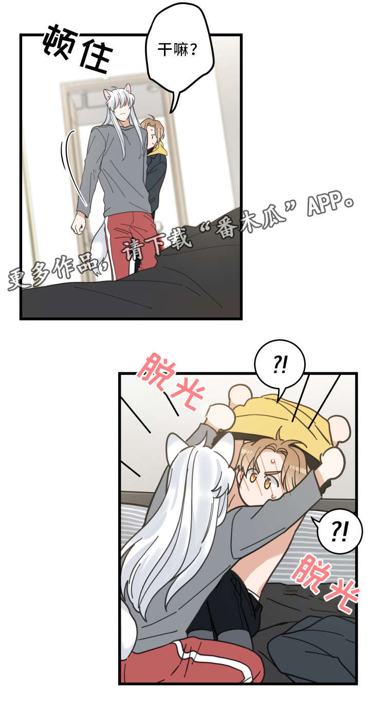 亲爱的喵君漫画,第25章：分享爱1图