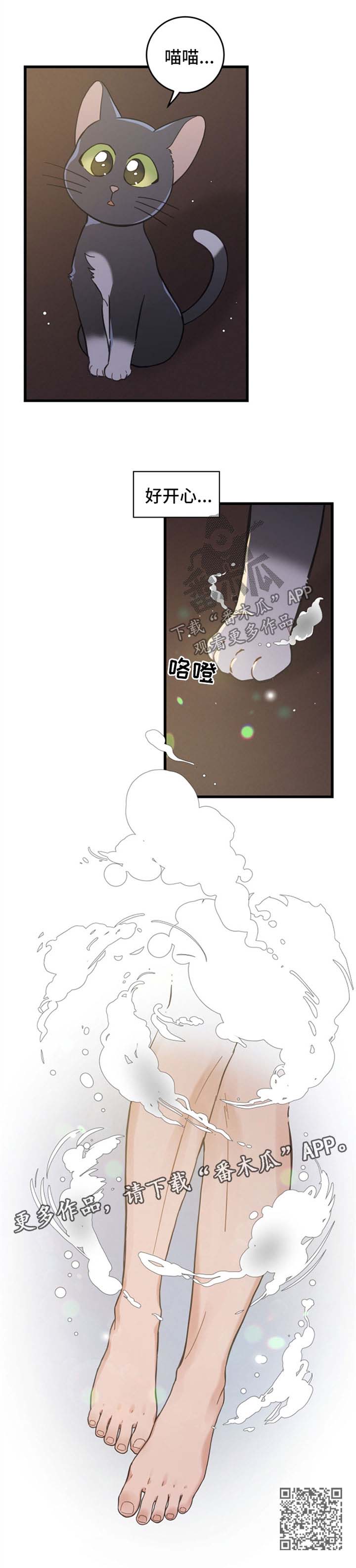 亲爱的喵君漫画,第83章：星星4图