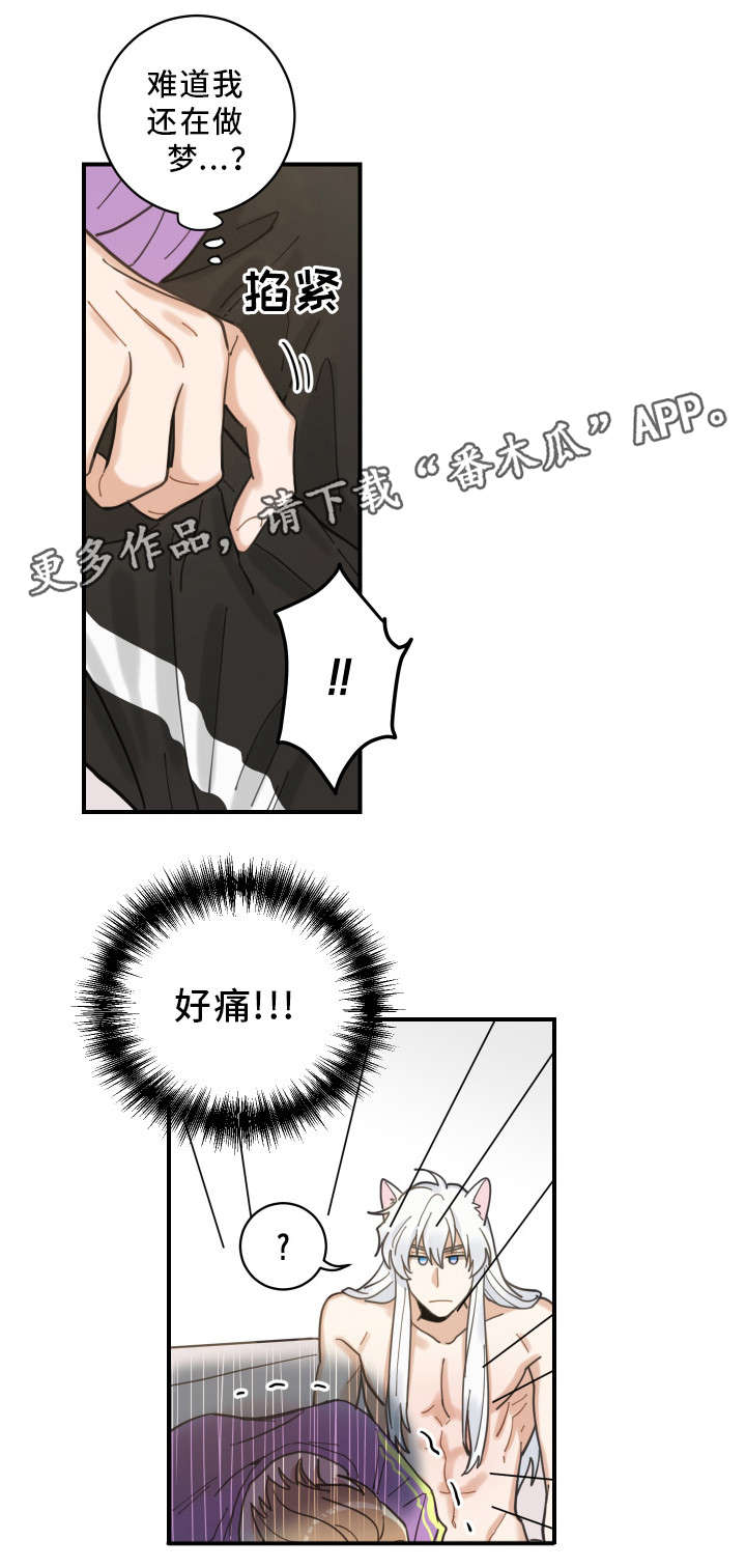 亲爱的喵君漫画,第5章：推开3图