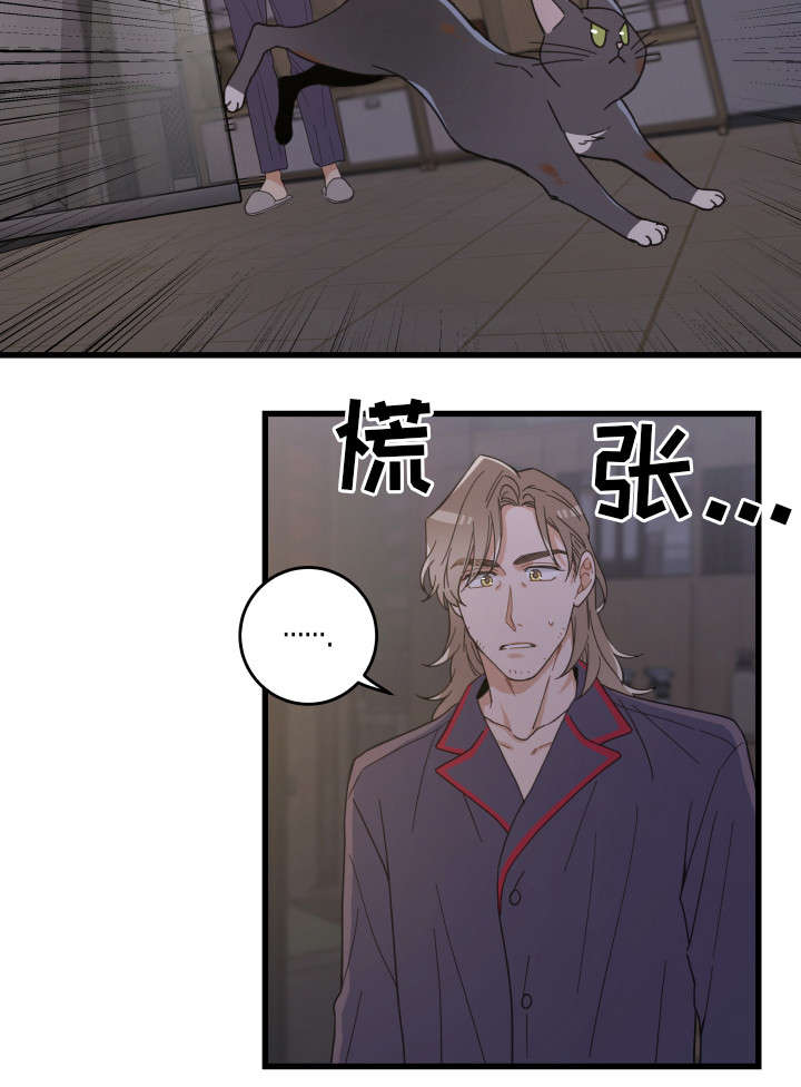 亲爱的喵君漫画,第35章：盯3图