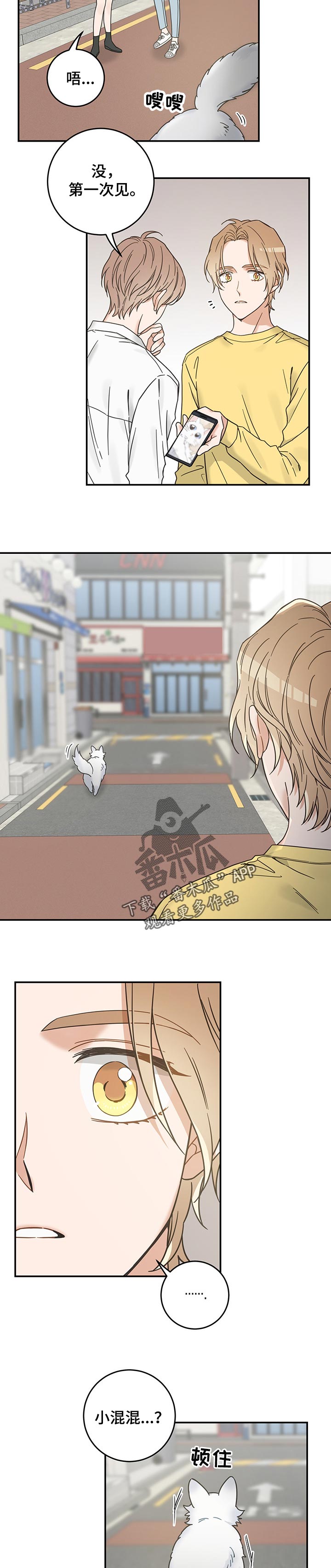 亲爱的喵君漫画,第106章：寻找2图