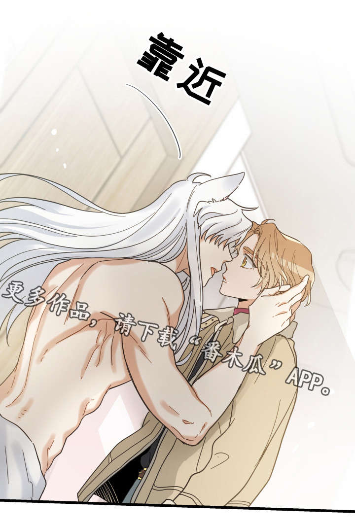 亲爱的喵君漫画,第41章：本能3图