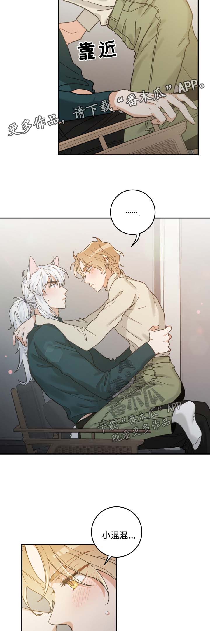 亲爱的喵君漫画,第49章：酒店1图