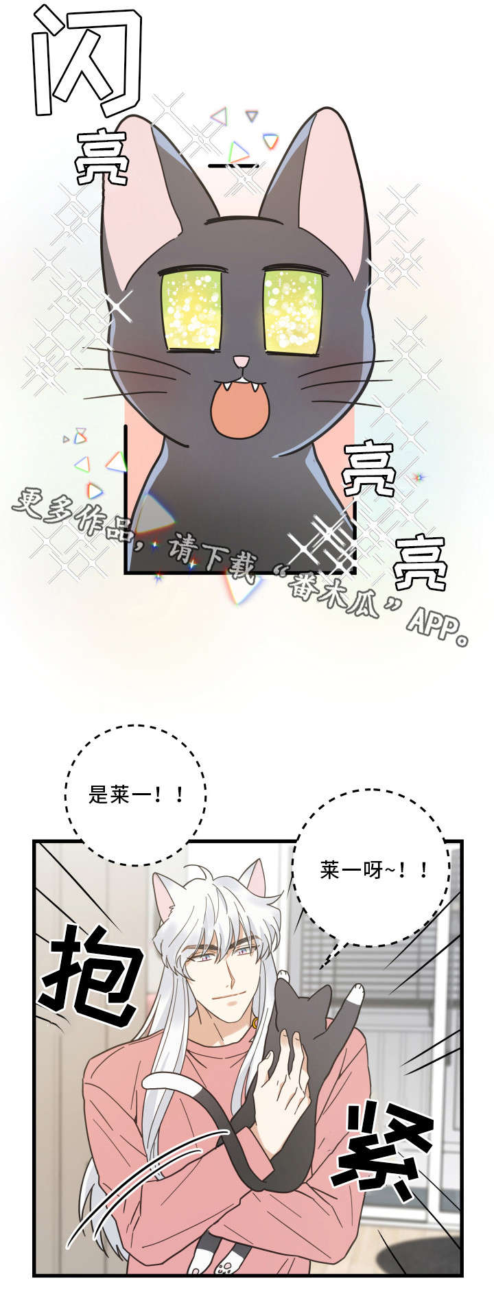亲爱的喵君漫画,第36章：跟踪2图