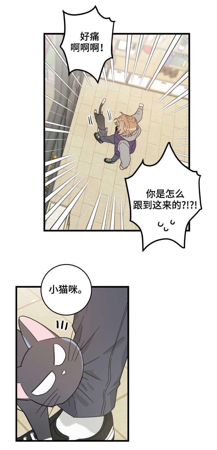 亲爱的喵君漫画,第43章：叔叔2图