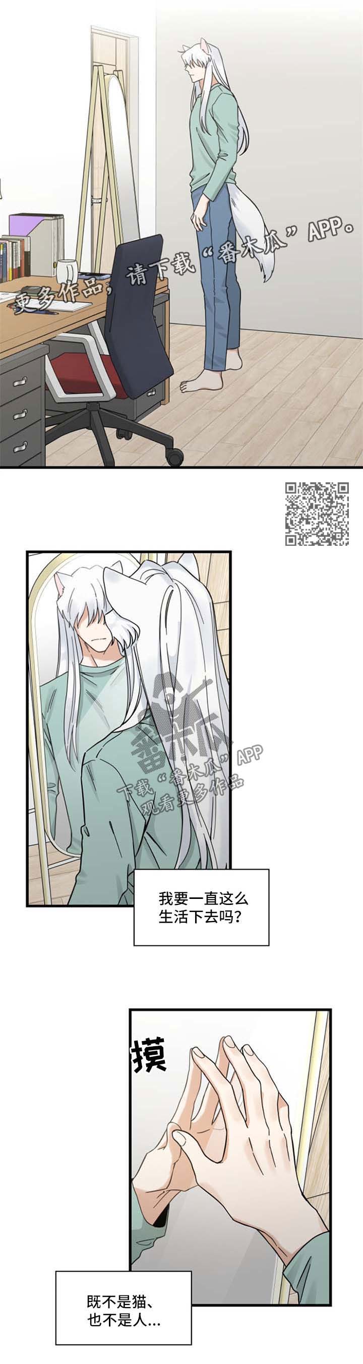 亲爱的喵君漫画,第94章：忧愁4图