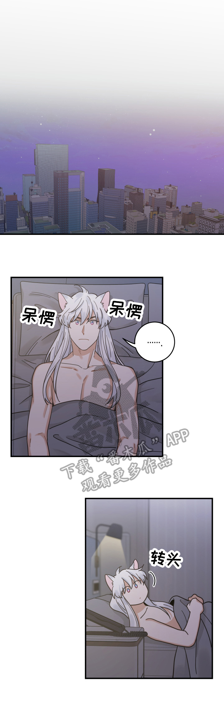 亲爱的喵君漫画,第51章：睡醒4图