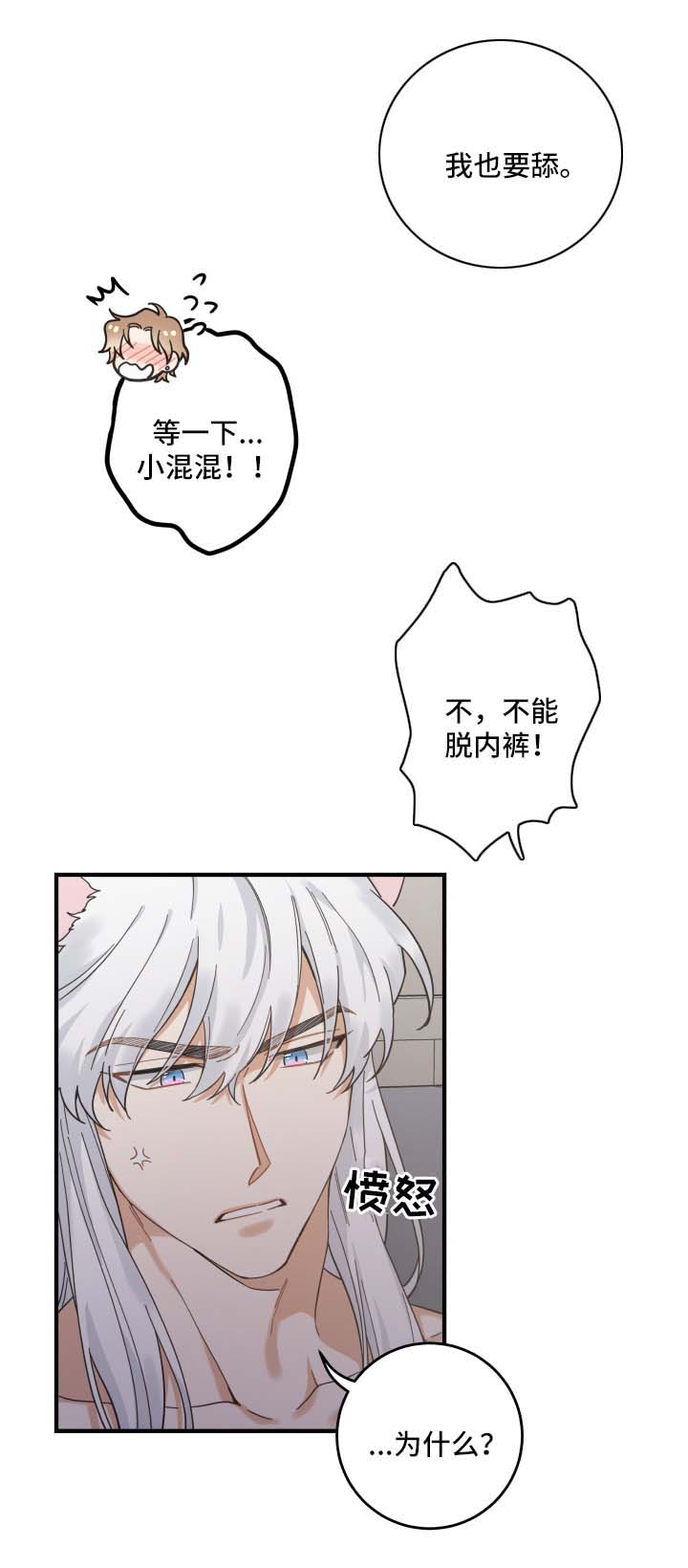 亲爱的喵君漫画,第50章：肌肤相亲4图