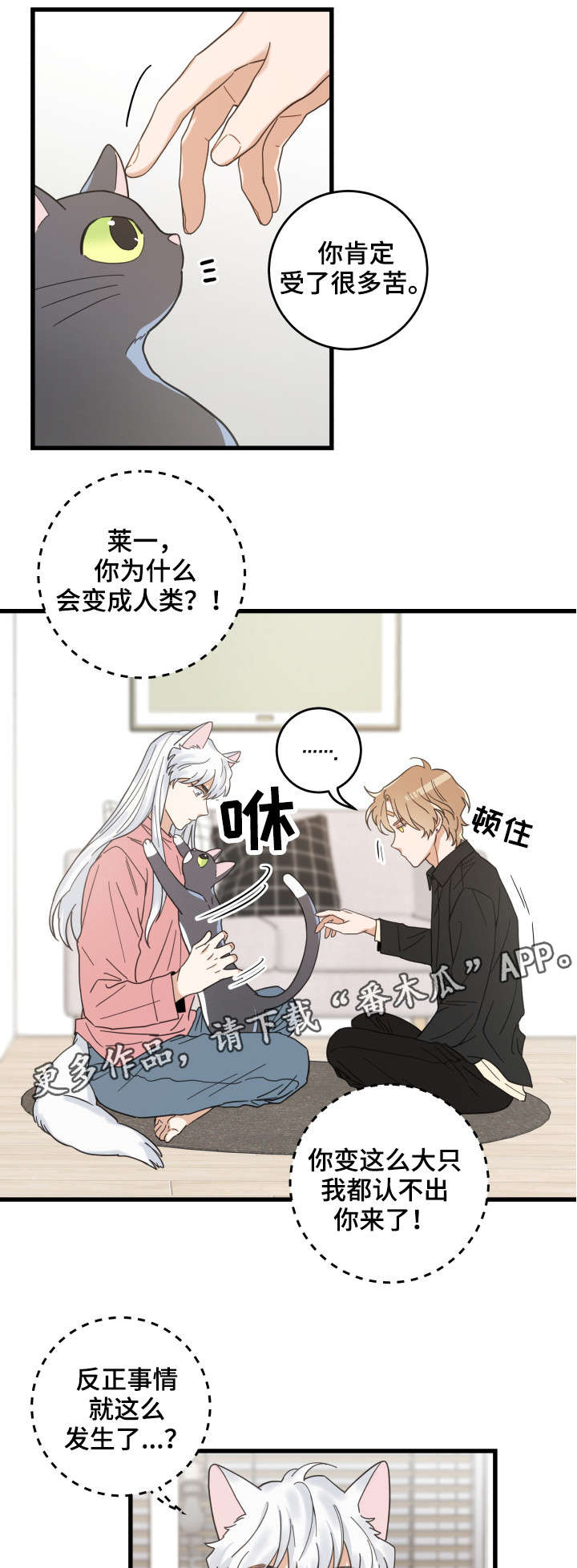 亲爱的喵君漫画,第37章：试探4图