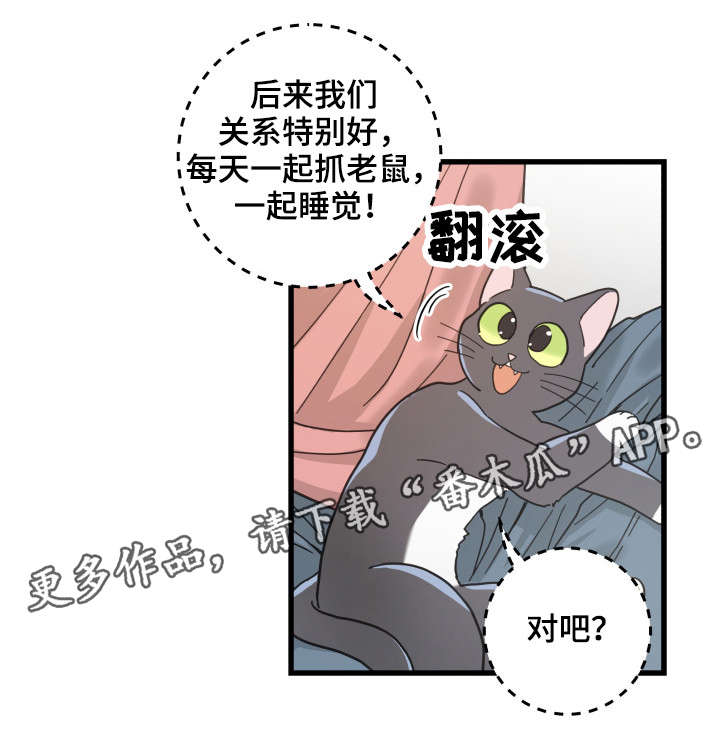 亲爱的喵君漫画,第37章：试探2图