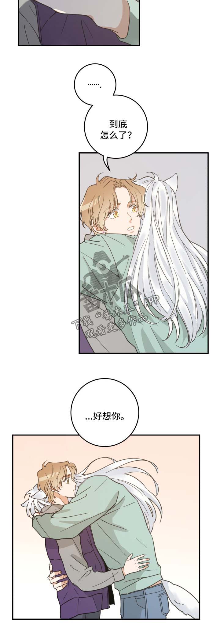 亲爱的喵君漫画,第45章：生气2图