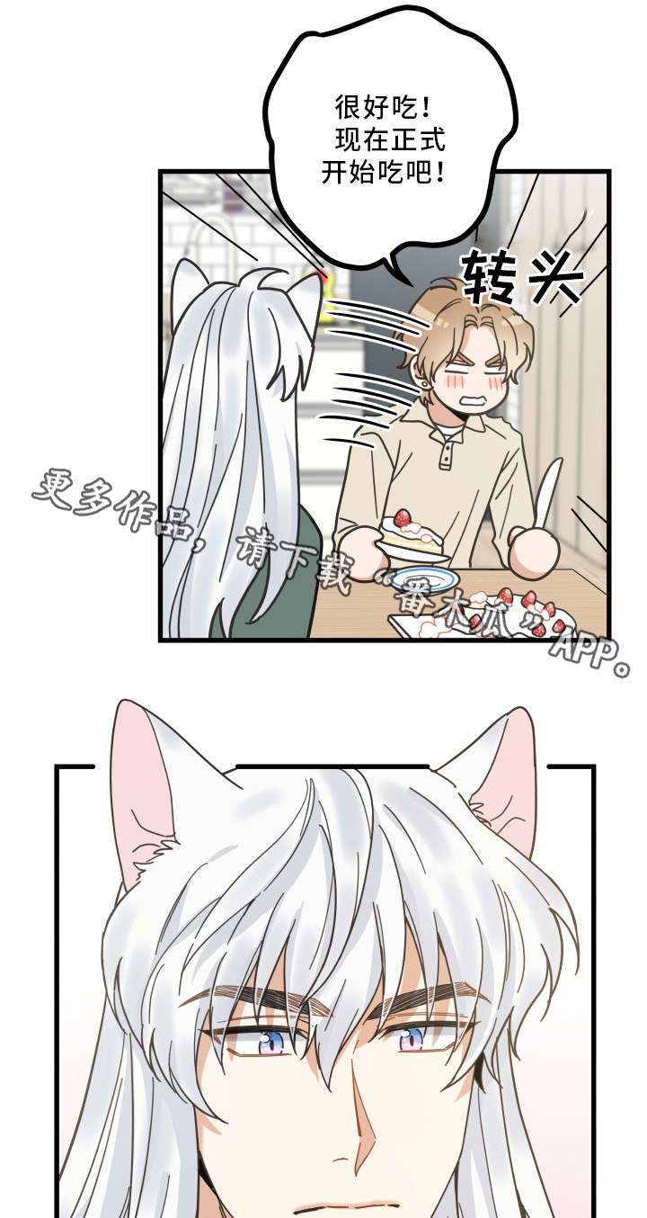 亲爱的喵君漫画,第29章：不能浪费1图