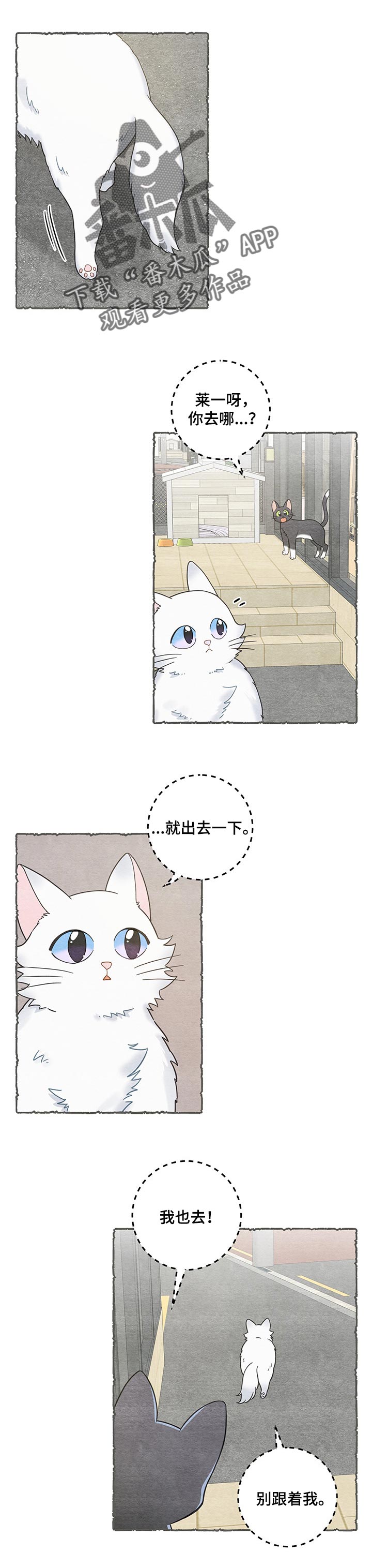 亲爱的喵君漫画,第104章：失踪了1图