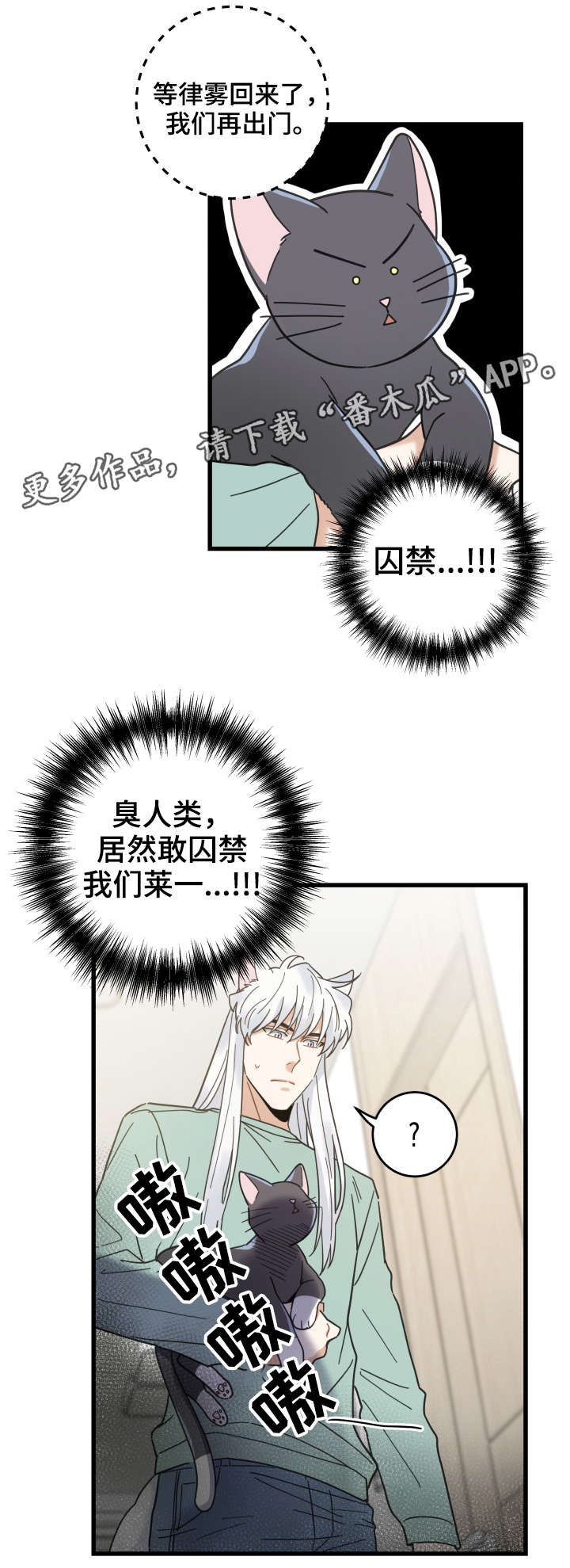 亲爱的喵君漫画,第42章：臭猫5图