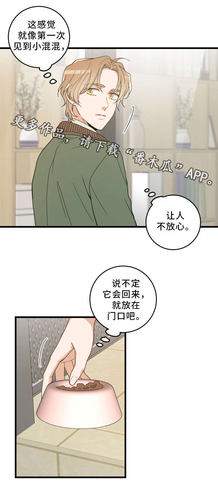 亲爱的喵君漫画,第31章：黑猫1图