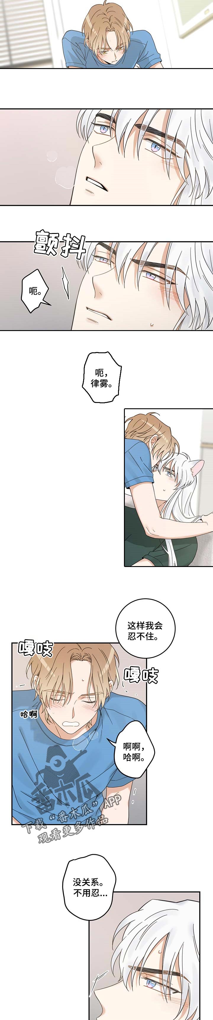 亲爱的喵君漫画,第114章：以后也要在一起3图