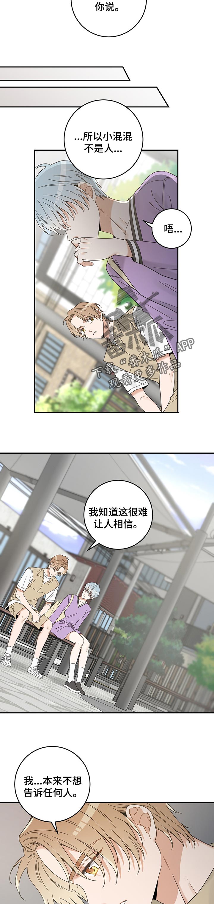 亲爱的喵君漫画,第108章：有事要说3图