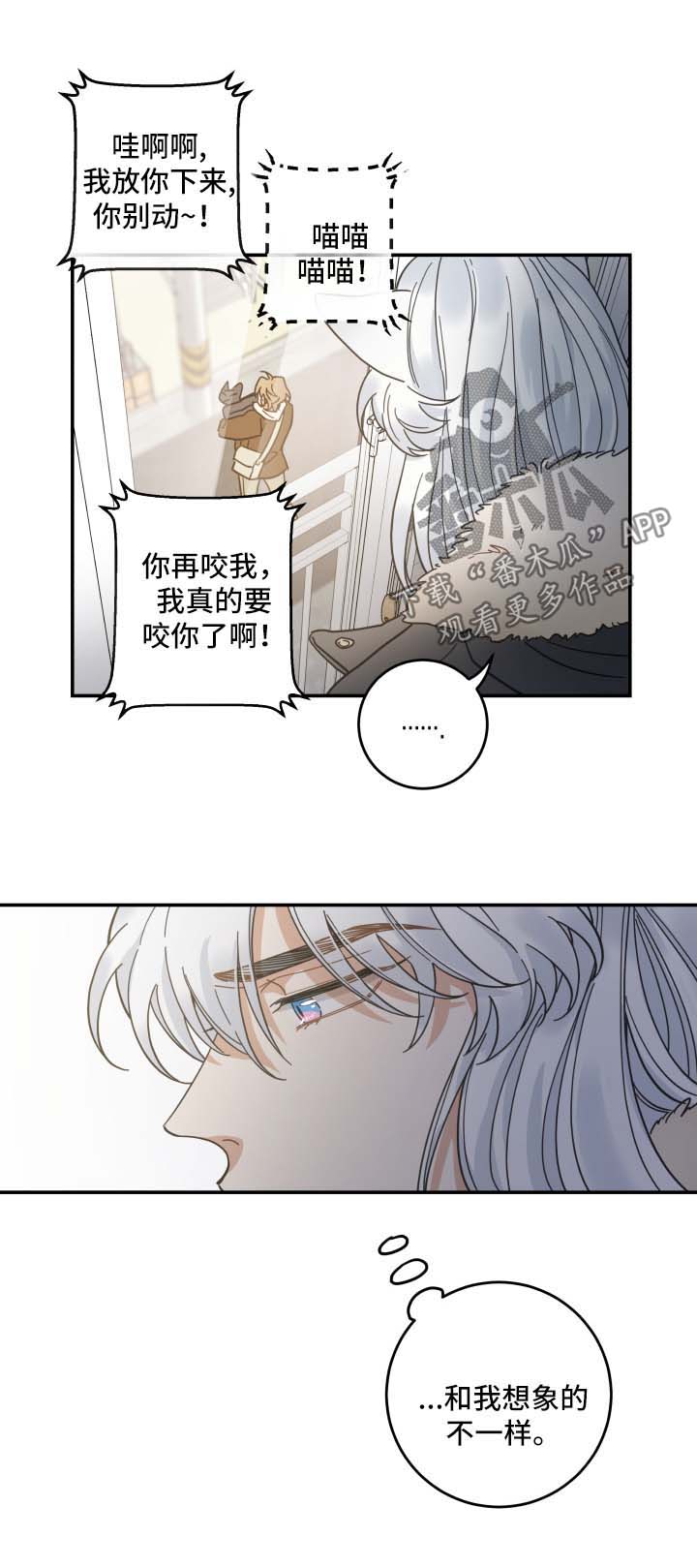 亲爱的喵君漫画,第46章：不能一起5图